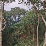 ผาตรอมใจ