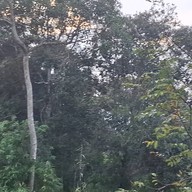 ผาตรอมใจ