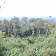 ผาตรอมใจ