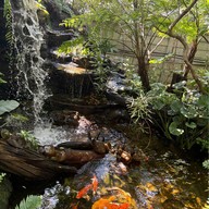 เมนูของร้าน Untill Today Coffee