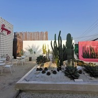 บรรยากาศ Palm springs cafe