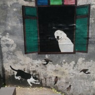 บรรยากาศ ดอกกาแฟ ณ ตะโกลา