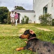 Elely Cafe' Mae Ping Bistro