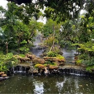 หวังว่า คาเฟ่ แอนด์ เรสเตอรองท์ ถ.บางขุนเทียน-ชายทะเล