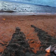 หาดจอมเทียน