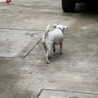 Jimmy's Coffee and Brew