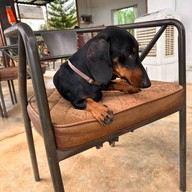 Elely Cafe' Mae Ping Bistro