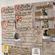 Elely Cafe' Mae Ping Bistro