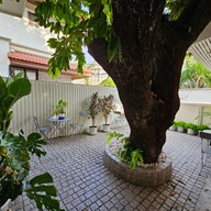 บรรยากาศ MARI CREPE AND COFFEE ROASTER Ekkamai 10