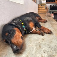 Elely Cafe' Mae Ping Bistro