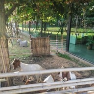 บรรยากาศ DuBua