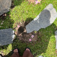 Guzzu Cafe And Bistro