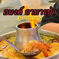 อนงค์ อาหารป่า