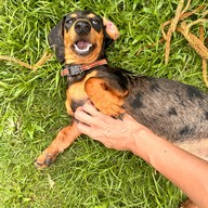 Elely Cafe' Mae Ping Bistro