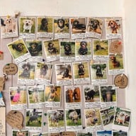 Elely Cafe' Mae Ping Bistro