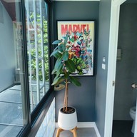 บรรยากาศ Collector Cafe’