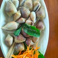 ก้อยกุลากาสัย