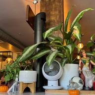 Zoob zib Authentic Thai Noodle New York