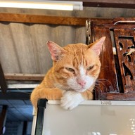 ภูผากาแฟสด