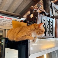 ภูผากาแฟสด