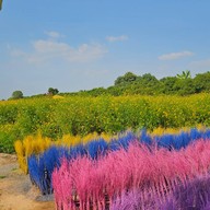 บ้านกล้วยและไข่