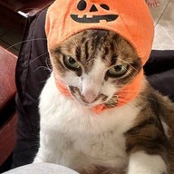 จุกท้อง