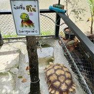 เมนูของร้าน เตี๋ยว เต็ม ตีน  คลองสี่