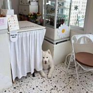 บรรยากาศ LALOLI CAFE Coco