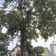 วัดสุวรรณดารารามราชวรวิหาร