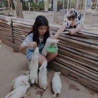 บรรยากาศ มินิมูร่าห์ฟาร์ม