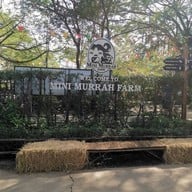 บรรยากาศ มินิมูร่าห์ฟาร์ม