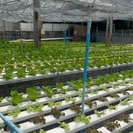 @19Food&farm