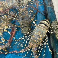 เมนูของร้าน Be Ni 2