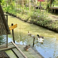 The Three Little Pigs ท่าตลาด