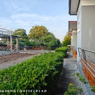 จำปีรีสอร์ท