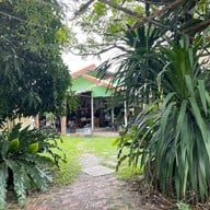 กะเพราและกวี