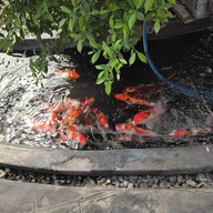 บรรยากาศ Tak Tuang - ตักตวง กับข้าวรสมือแม่