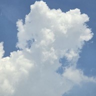 Madly mugged coffee x Pukka studio