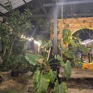 บรรยากาศ สวนอาหารครัวปัญญ์สุข ลาบเป็ดสูตรคุณปู่ -