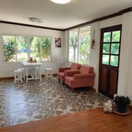 แมวป่ากาแฟสด