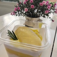 แมวป่ากาแฟสด