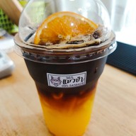 แมวป่ากาแฟสด