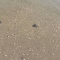 หาดค่ายเจษฎาราชเจ้า