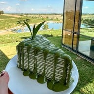 ไร่ชาฉุยฟง แม่จัน เชียงราย