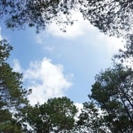 พระตำหนักเขาค้อ