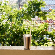 เออร์ลี่ ราม110