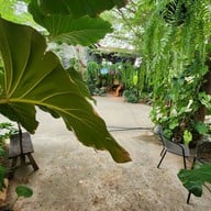 SAYA cafe & restaurant ชัยภูมิ