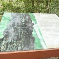 แพะเมืองผี