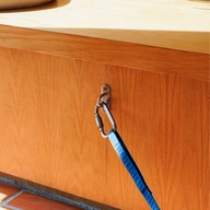 เออร์ลี่ ราม110