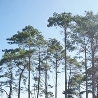 พระตำหนักเขาค้อ